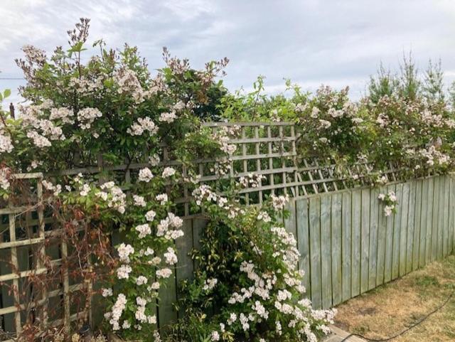 Seaview Bungalow Hornsea Zewnętrze zdjęcie